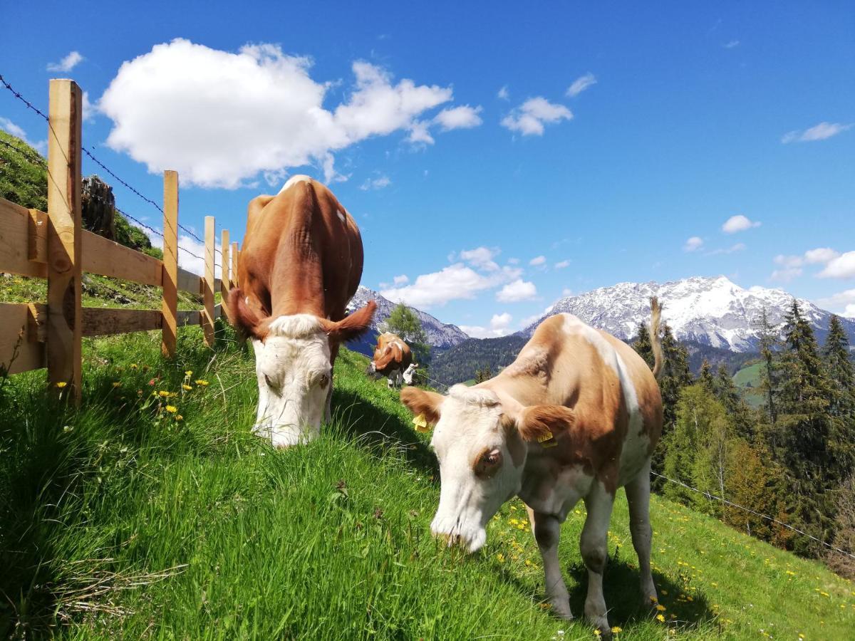 Vila Maierlhof Aich  Exteriér fotografie
